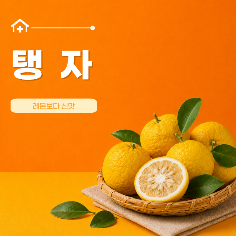 탱자 효능 효소 담그는 법 탱자차 만드는 법 부작용
