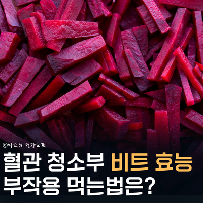 혈관 청소부 비트 효능 5가지! 부작용, 먹는법(ABC 주스 등)은?