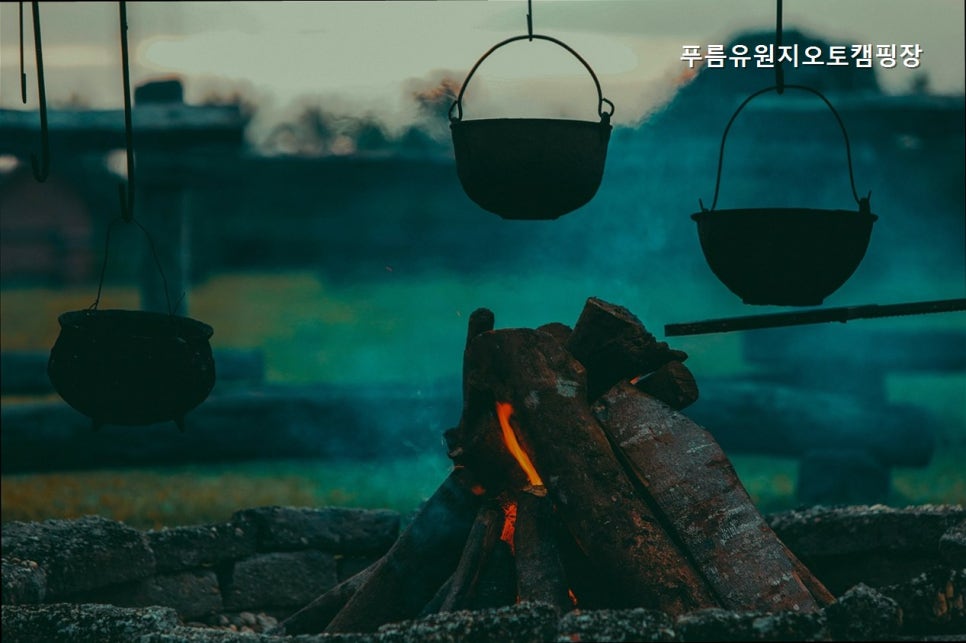 푸름유원지 사진 4