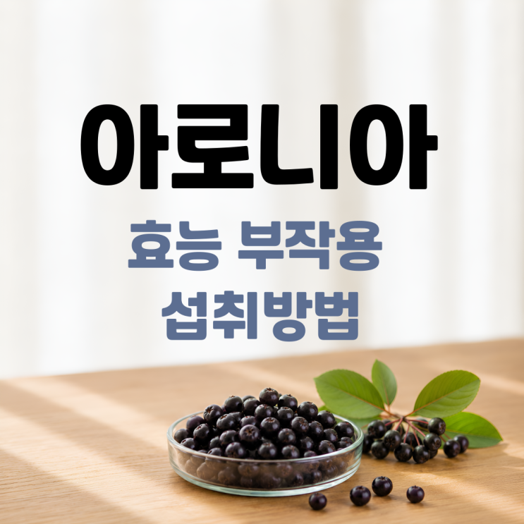  아로니아 효능 부작용 섭취방법 총정리