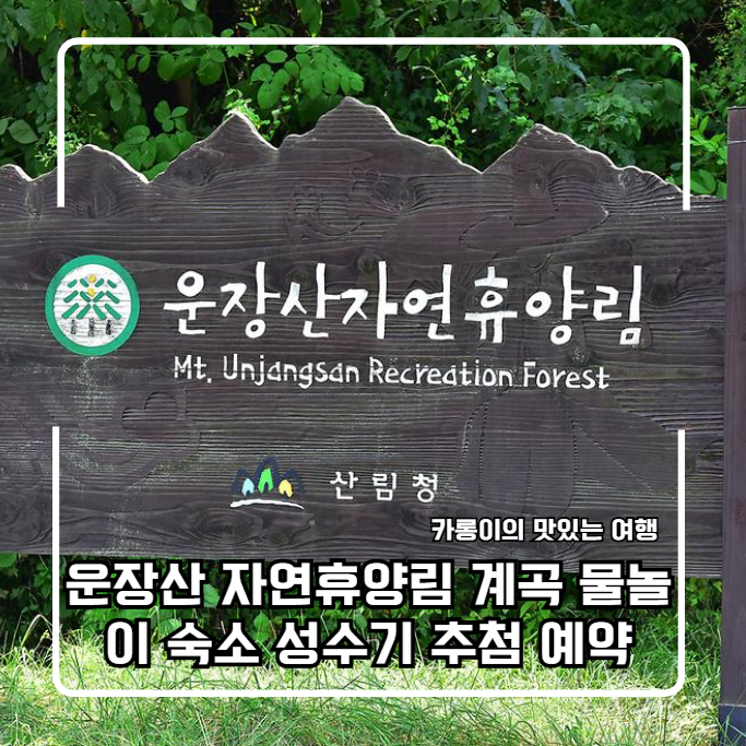 진안 운장산 자연휴양림 계곡 물놀이 숙소 성수기 추첨 예약 완벽정리