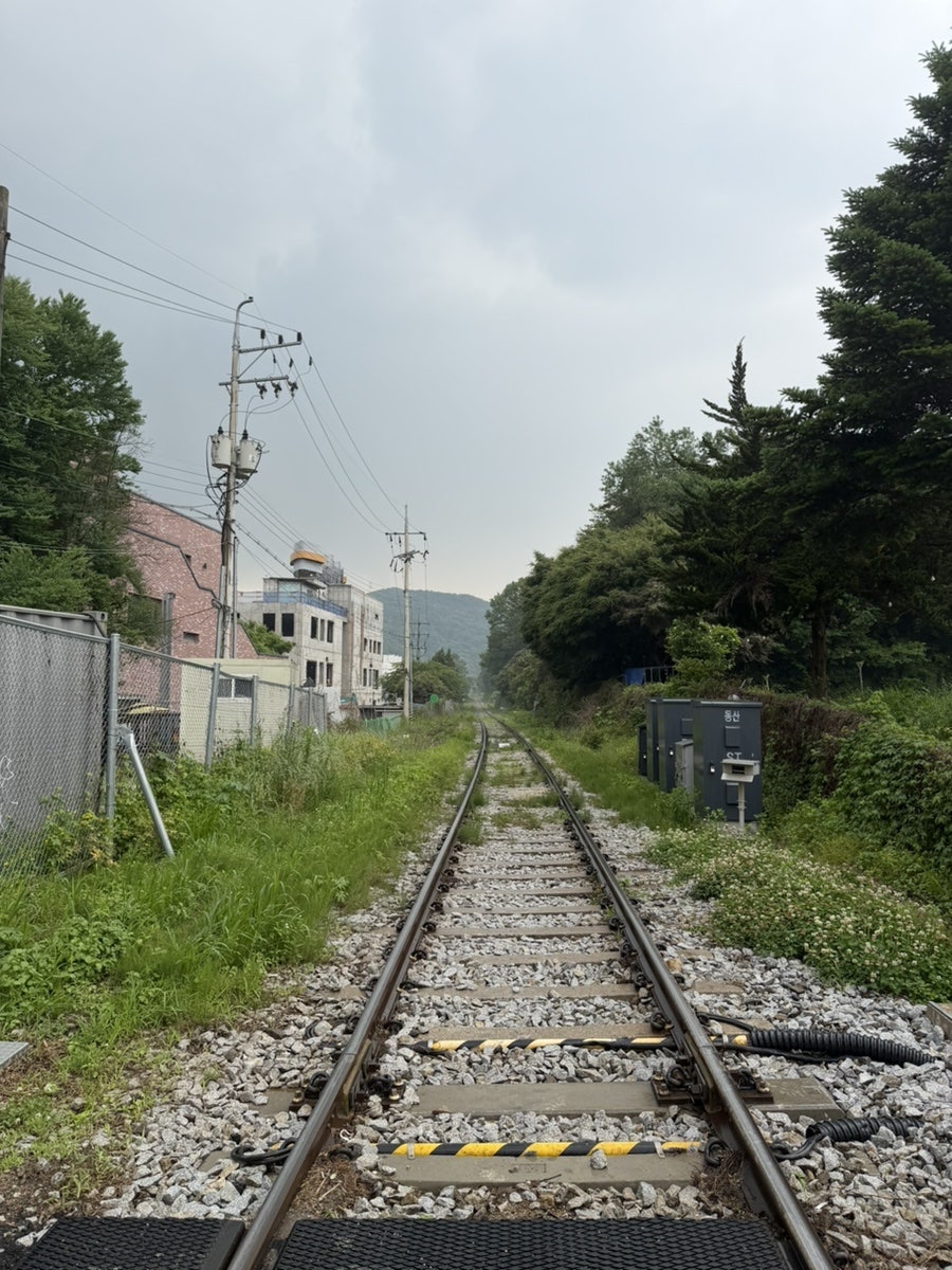 한쉐프 사진 2