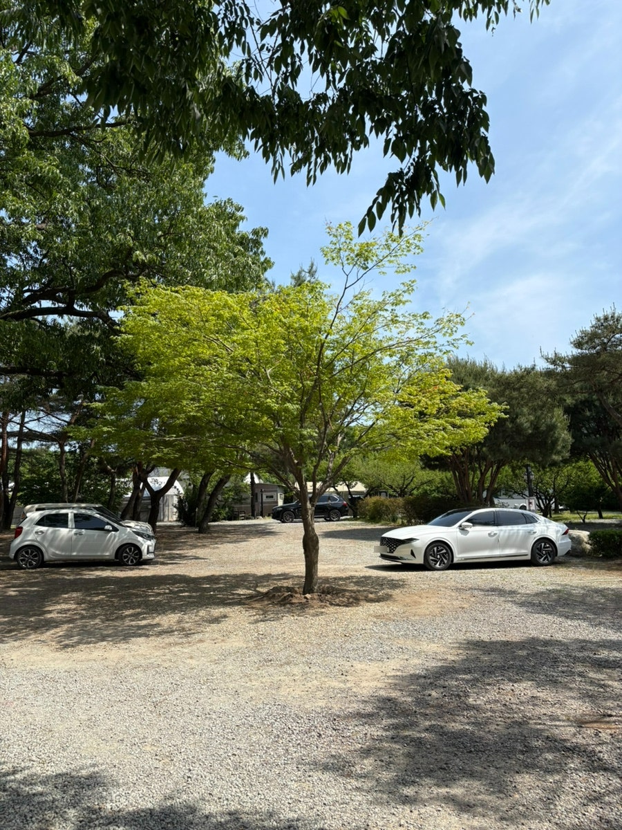 계룡산사계절펜션 사진 5