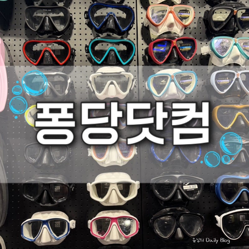프리다이빙 용품 오프라인 매장 퐁당닷컴 방문 후기