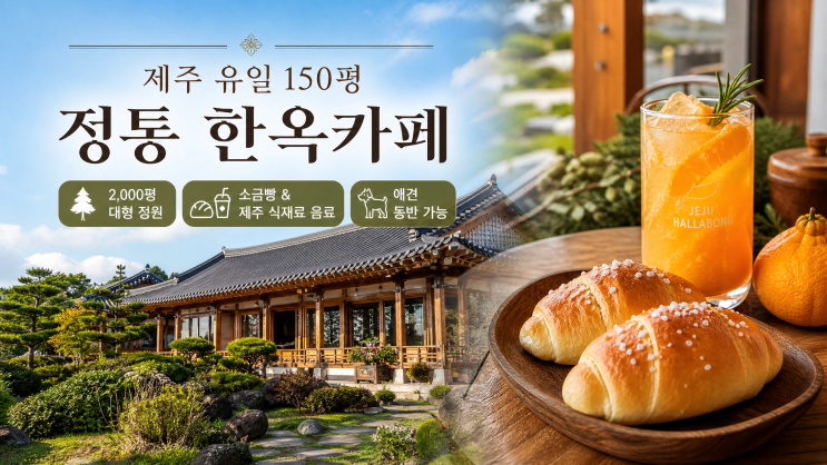  제주 빵지순례 미쁜제과 한옥 정원에서 소금빵 한 입 이런 곳이 제주에 있었어?