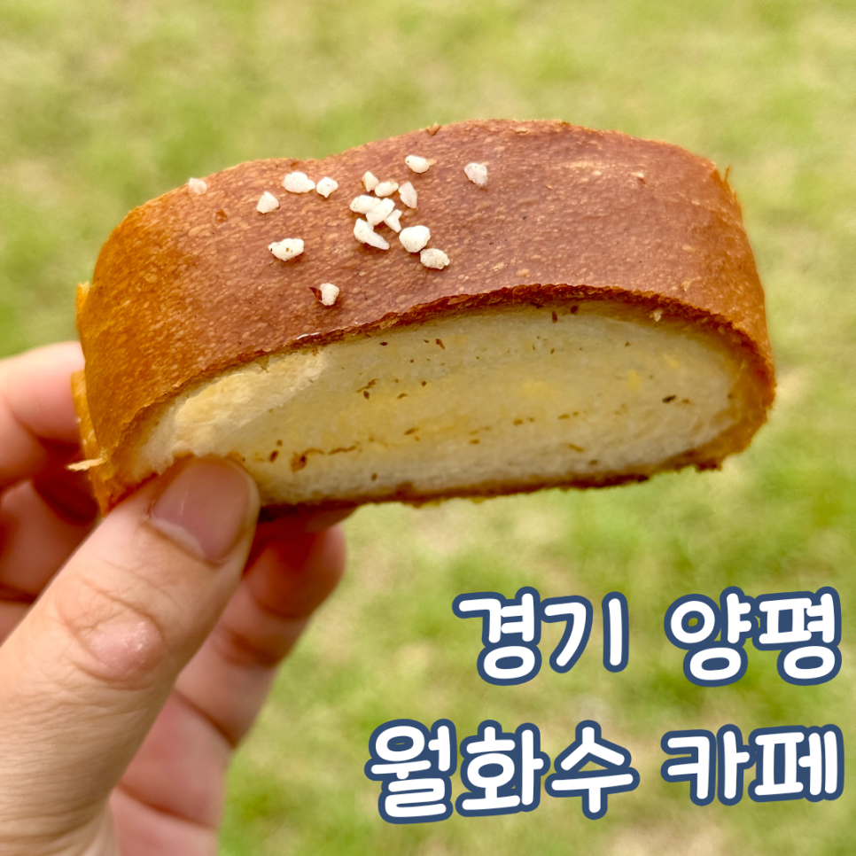 월화수 사진 1