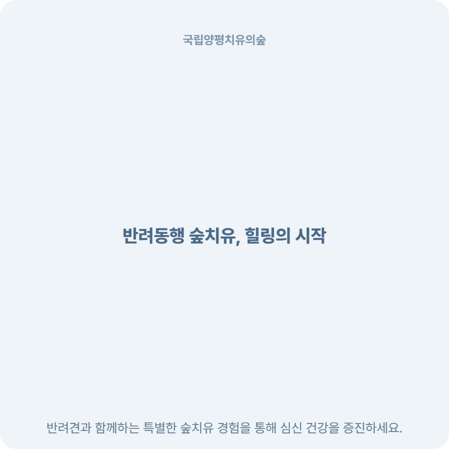국립양평치유의숲 사진 3