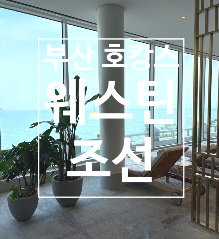  해운대 바로 앞! 웨스틴 조선 부산에서 즐긴 완벽한 호캉스