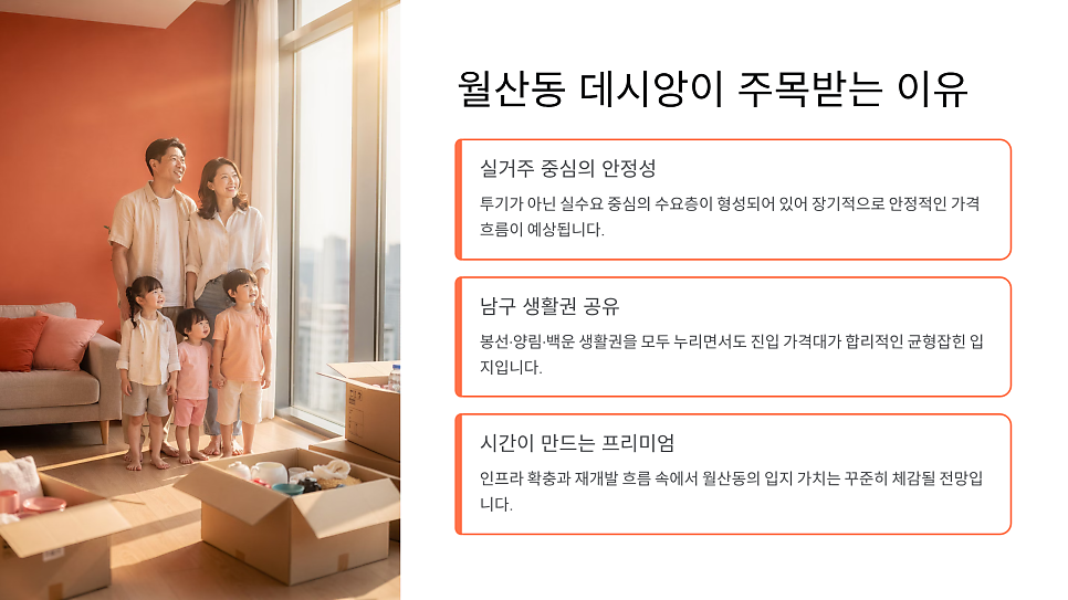 포인 사진 3