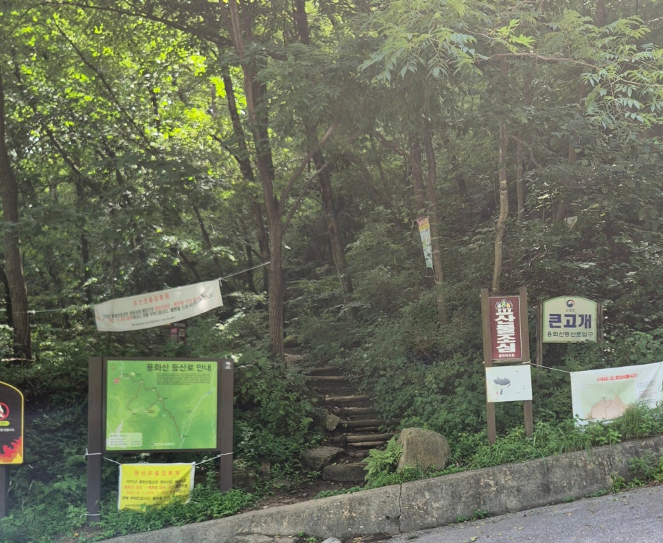 양통개울 사진 2