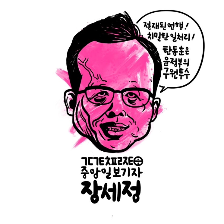<b>중앙일보</b> 장세정 기자
