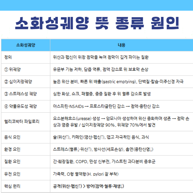 소화성궤양 뜻 종류 원인 헬리코박터파일로리균Helicobacter pylori