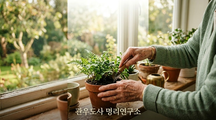  간병 걱정 없는 여자 사주 특징 7가지, 늙어서 자식·남편에게 짐 안 되고 건강하게 사는 사람의 사주 구조 총정리