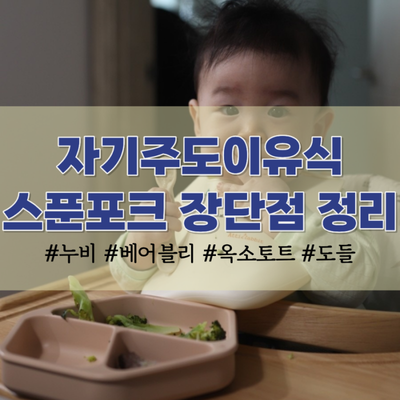 자기주도이유식 스푼 6개월부터 돌 이후까지 총정리(각종 스푼 장단점 소개)
