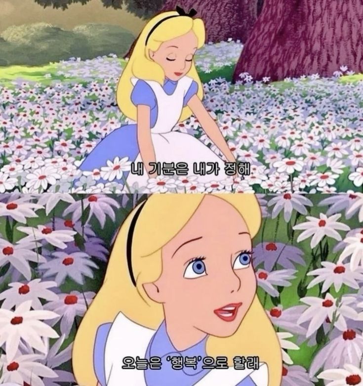 동구밖꽃다육식물원 사진 1