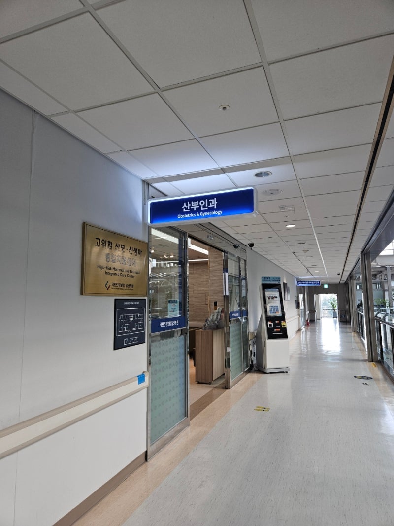 임신 12주차 ] 일산 파주 니프티검사 제일 저렴한 곳 일산병원 초음파 니프티검사후기 (+ 온라....