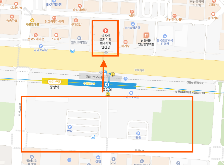 홍시 사진 4
