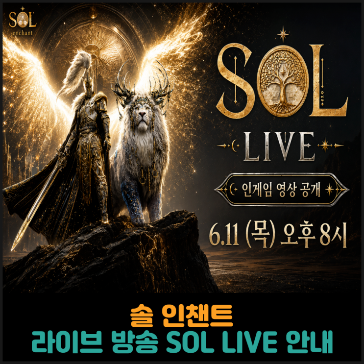  솔 인챈트, 라이브 방송 SOL LIVE 안내