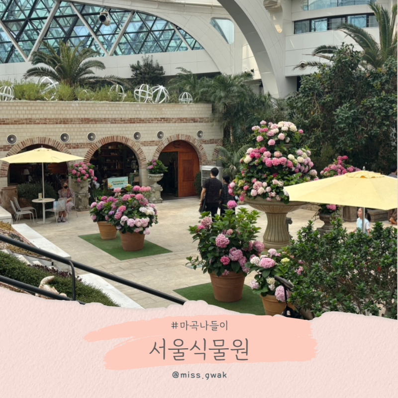 마곡서울식물원 입장권 할인, 주말 주차장 꿀팁