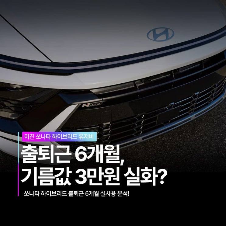 쏘나타 하이브리드 출퇴근 6개월, 월 "<b>기름값</b> 3만원" 실화?