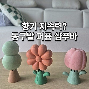기대와 달랐던 점은? 코스트코 동구밭 퍼퓸 샴푸바 장점과 아쉬운 점