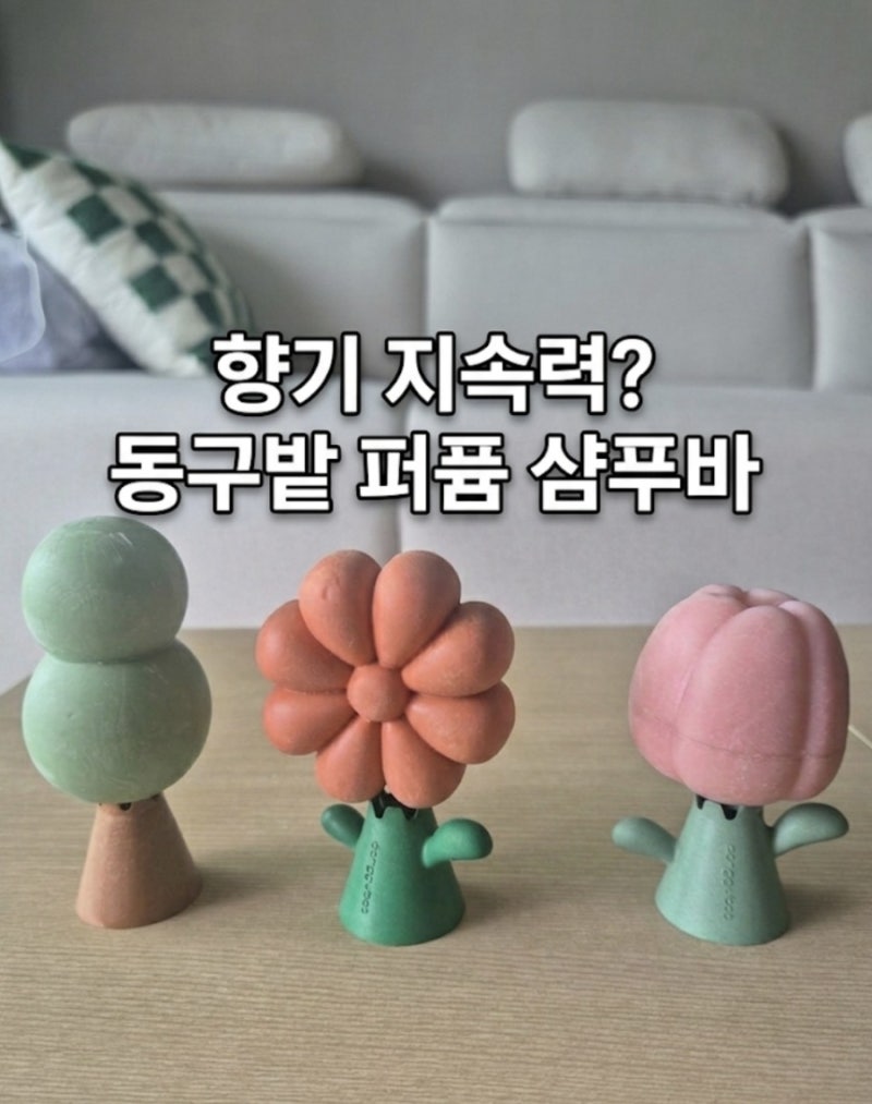 기대와 달랐던 점은? 코스트코 동구밭 퍼퓸 샴푸바 장점과 아쉬운 점