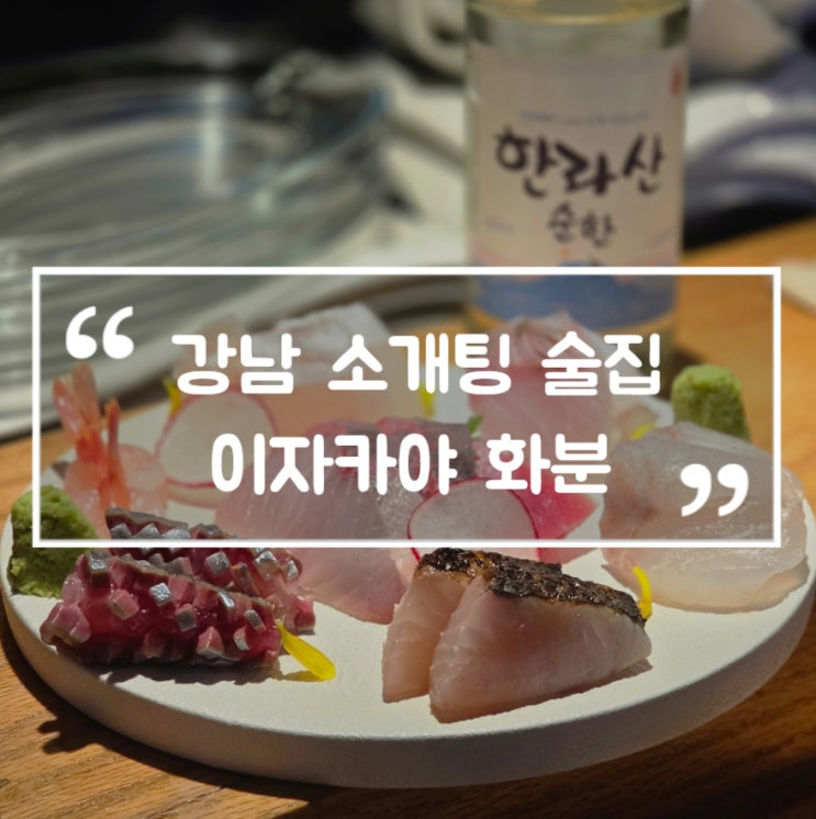  강남 소개팅 술집 이자카야 화분 신사역 분위기 좋은 안주 맛집