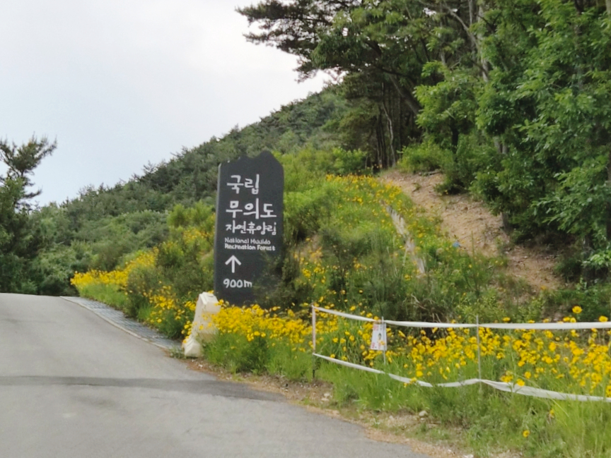 국립무의도자연휴양림 문갑도 사진 2