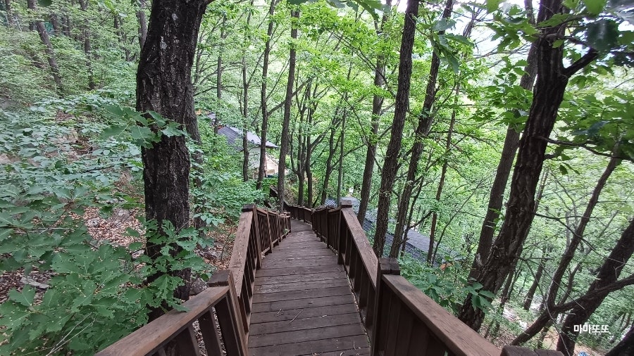 근산 사진 3
