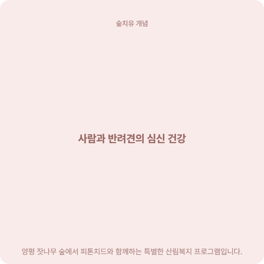 국립양평치유의숲 사진 5