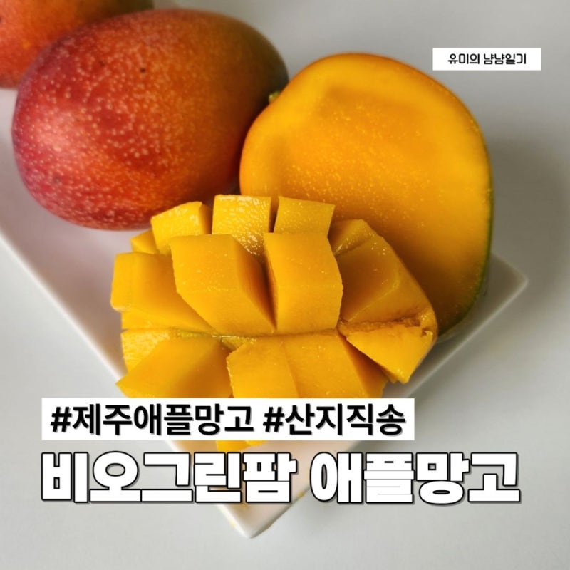 제주애플망고 택배로 받는 산지직송 과일 비오그린팜