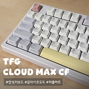 조약돌 키보드 | 한성 TFG Cloud Max CF 문라이트 도독 퍼플하트 35g 사용 후기