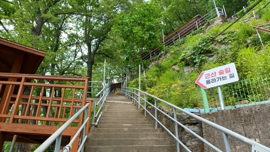 근산 사진 2