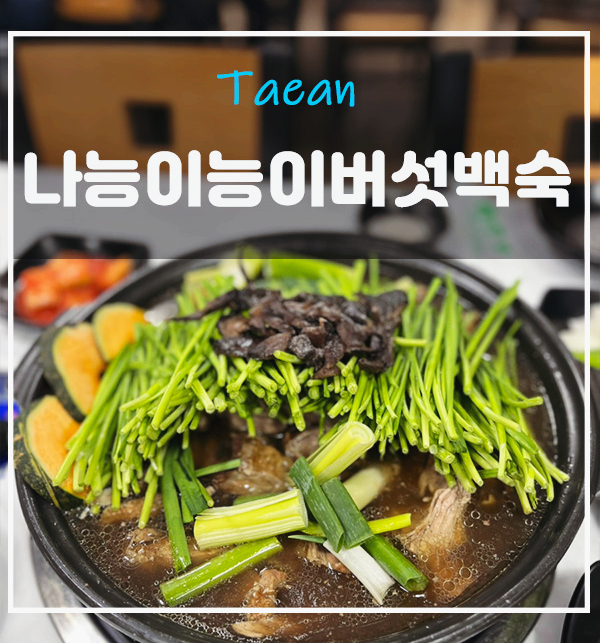나능이능이버섯백숙 태안점 사진 1