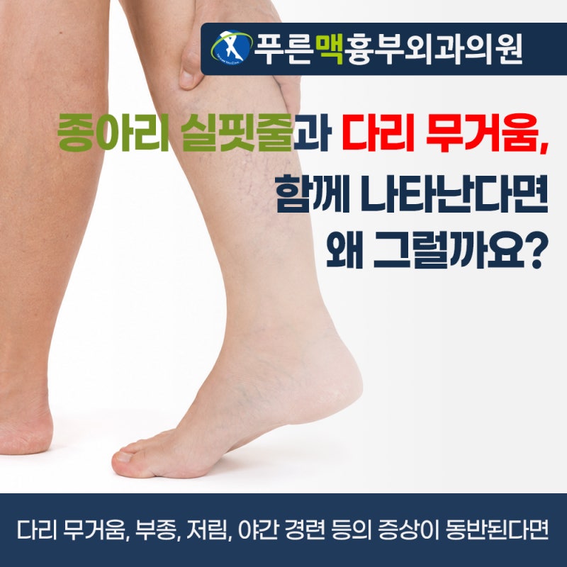 [서울 하지정맥류 병원] 종아리 실핏줄과 다리 무거움, 함께 나타난다면 왜 그럴까요?
