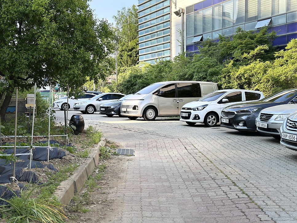 블루문 사진 1