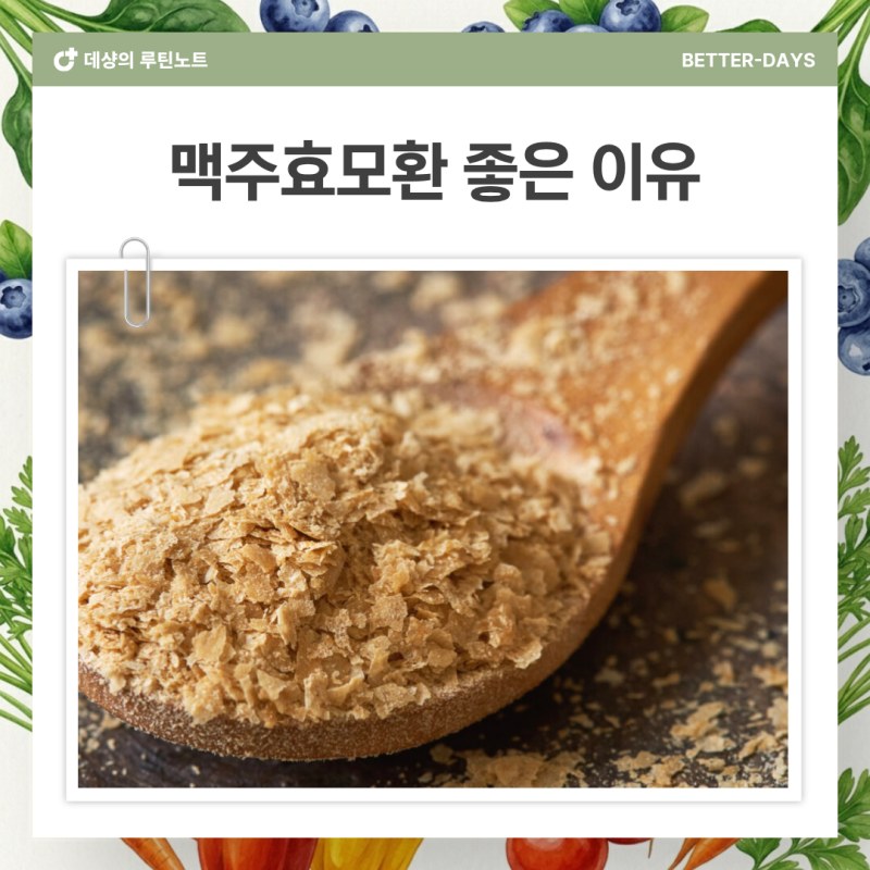 맥주효모환 챙기는 분들이 늘어난 진짜 이유