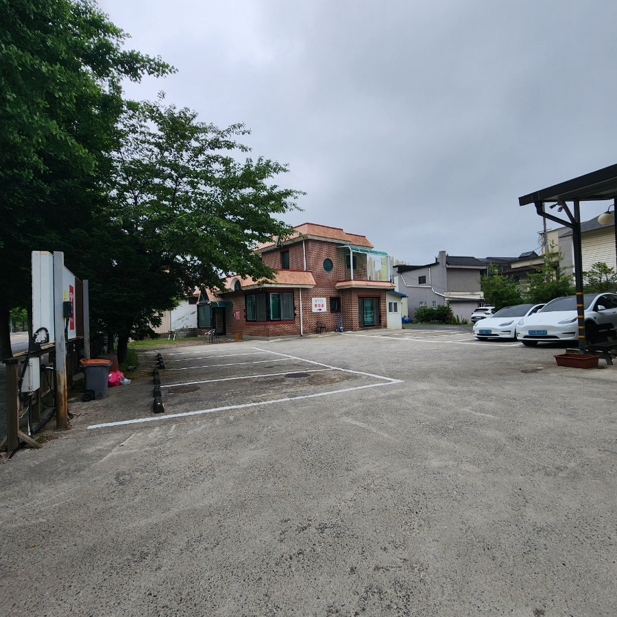 황소실비 사진 2