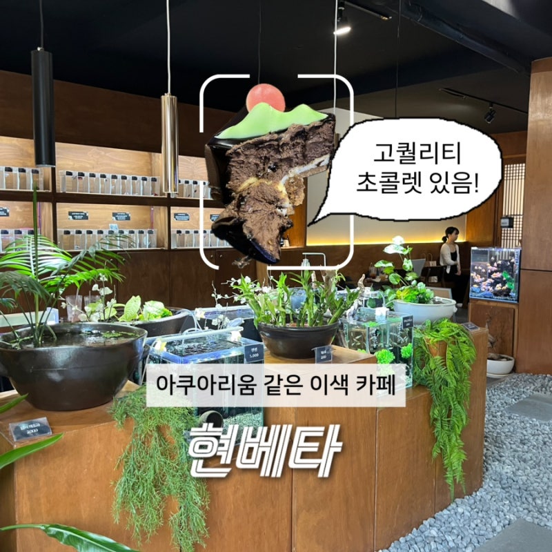 구월동 이색 카페 물고기와 파충류가 있는 현베타 (수제초콜렛 있음!)