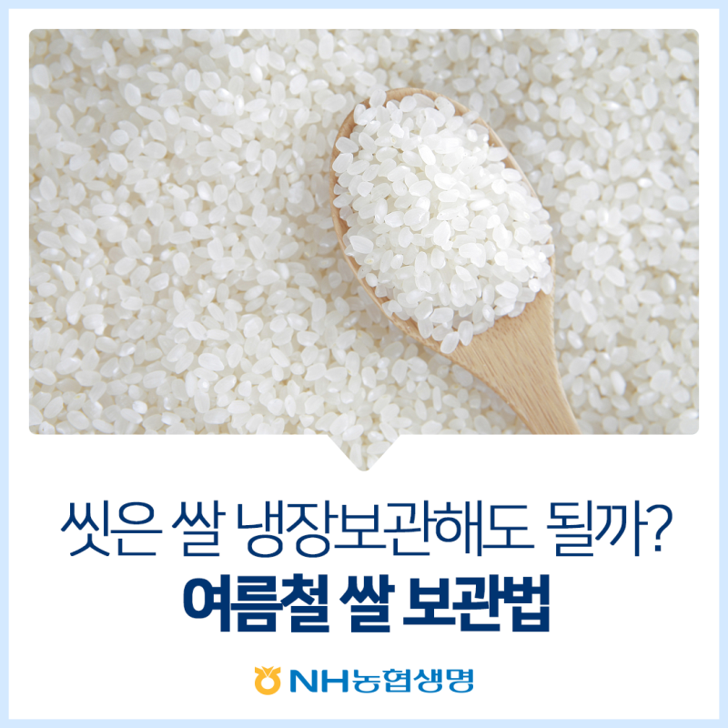 씻은 쌀 냉장보관해도 될까? 여름철 쌀 보관법