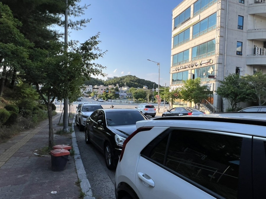 요거트아이스크림의정석 춘천온의점 사진 2