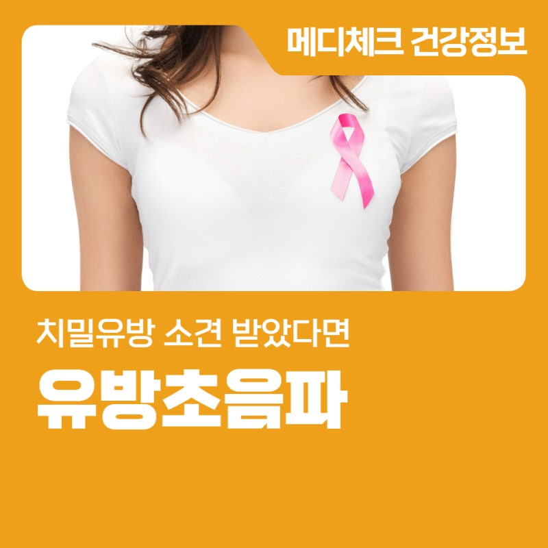 대전 유방초음파 치밀유방 소견 받았다면