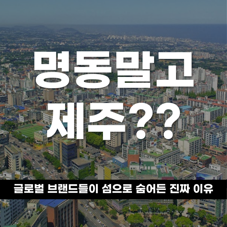  명동 말고 제주? 글로벌 브랜드들이 이 ‘고립된 섬’으로 숨어든 진짜 이유