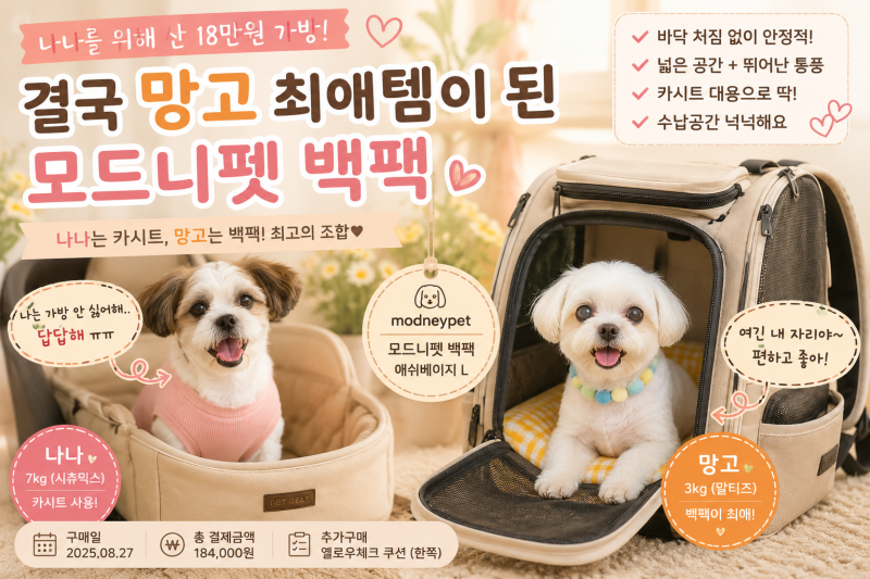 나나를 위해 산 18만 원 이동가방, 결국 망고 최애템이 되었습니다 | 모드니펫 백팩 내돈내산 ....