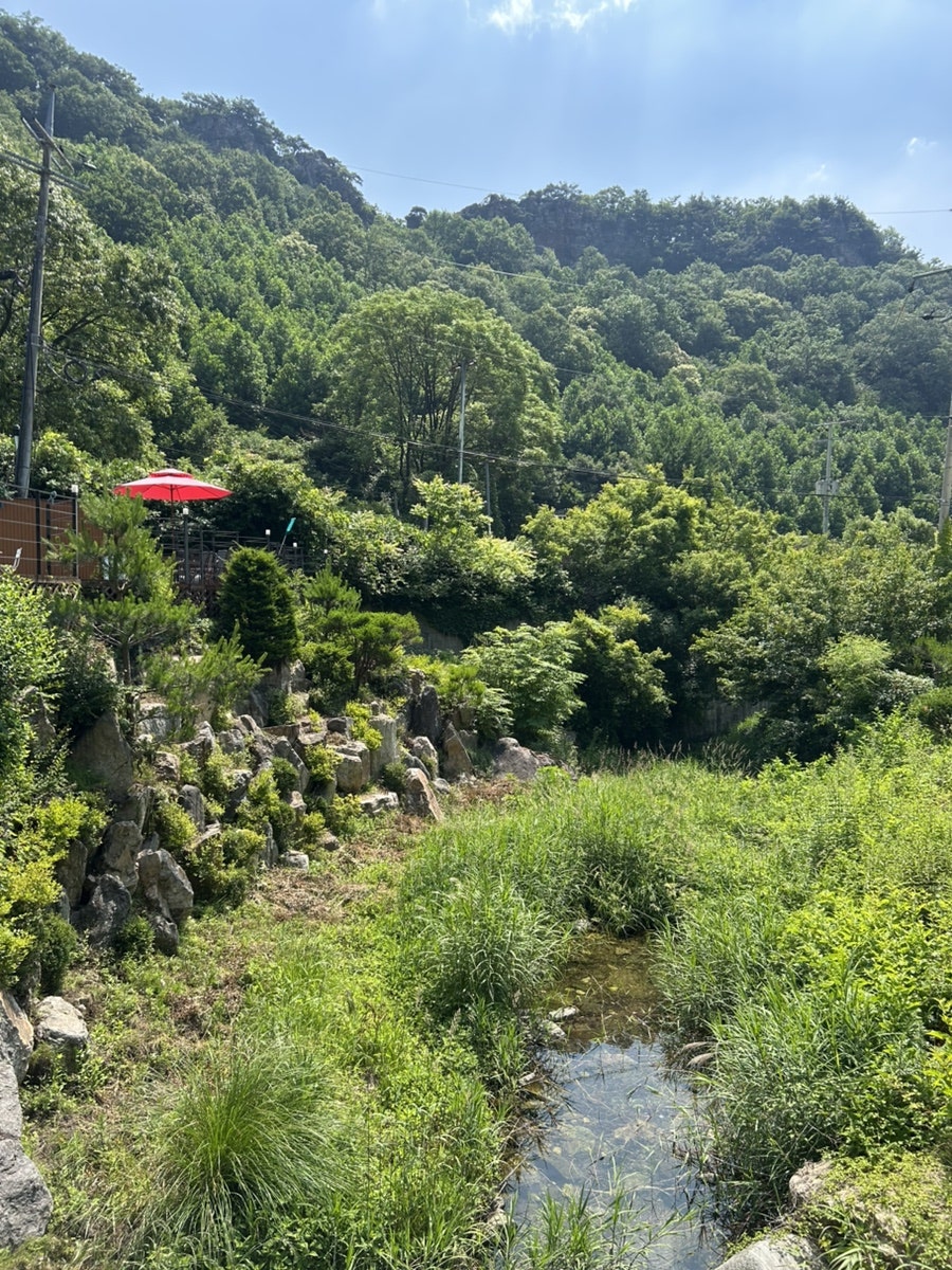 펜션121 사진 4