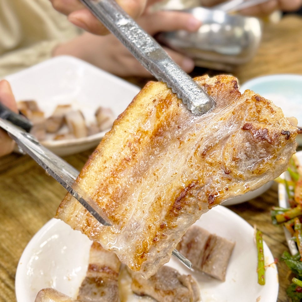 용두똥돼지 사진 1