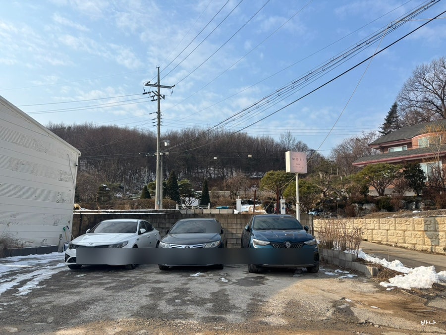 링고앤모모의숲 사진 3