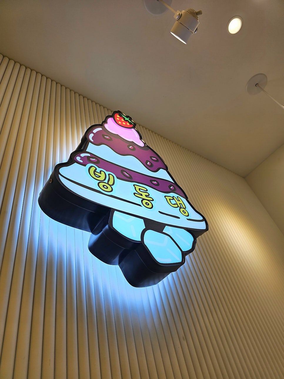 홍시 사진 6