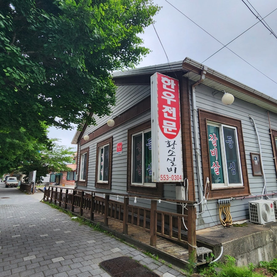 황소실비 사진 4