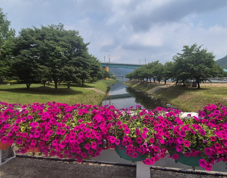 꽃사랑 사진 4